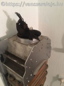 Vízmelegítő karbantartása - a gázkészülék füstcsövébe madár került. 